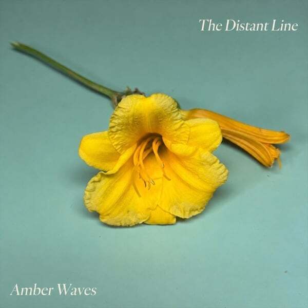 Cover art for Amber Waves